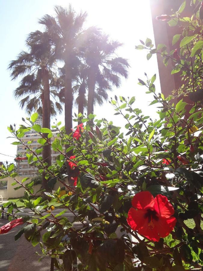 Best View - Welcome Penthouse Apartamentos Karola Benidorm Exterior foto